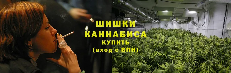 Марихуана White Widow  наркотики  OMG   shop наркотические препараты  Алейск 